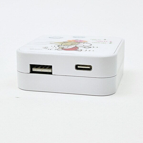 水森亜土 USB/USB Type-C ACアダプタ (女の子) 充電器 スマホ用品