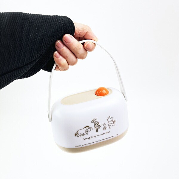 ディズニー くまのプーさん LEDルームライト インテリア Disney