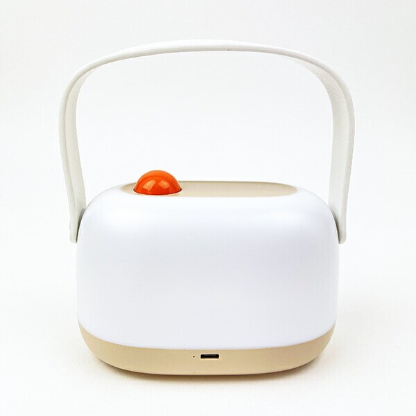 ディズニー ラプンツェル LEDルームライト インテリア Disney