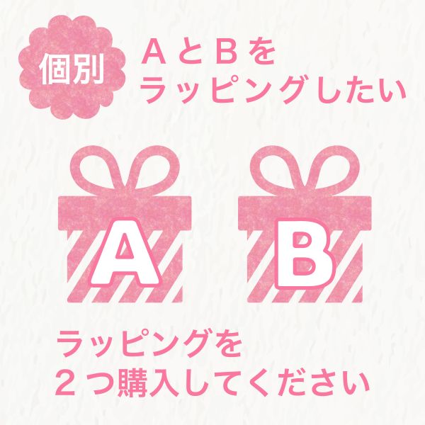 ムーミン リトルミイ MOOMIN ジュエリーボックス リビエラシリーズ 小物入れ インテリア ホワイト