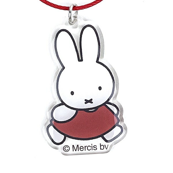 ミッフィー miffy チェキ収納＆バッジホルダー レッド 推し活