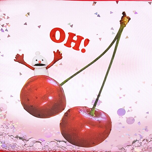 パペットスンスン ノンノン シャカシャカポーチ