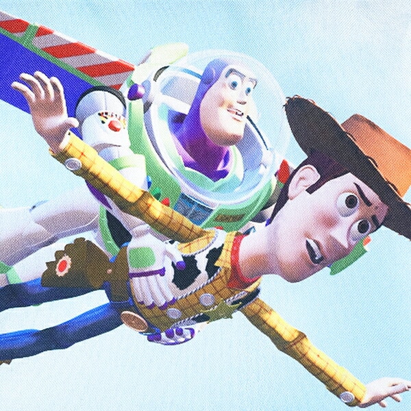ディズニー トイストーリー ウッディ＆バズ 巾着(M) 日本製 Disney