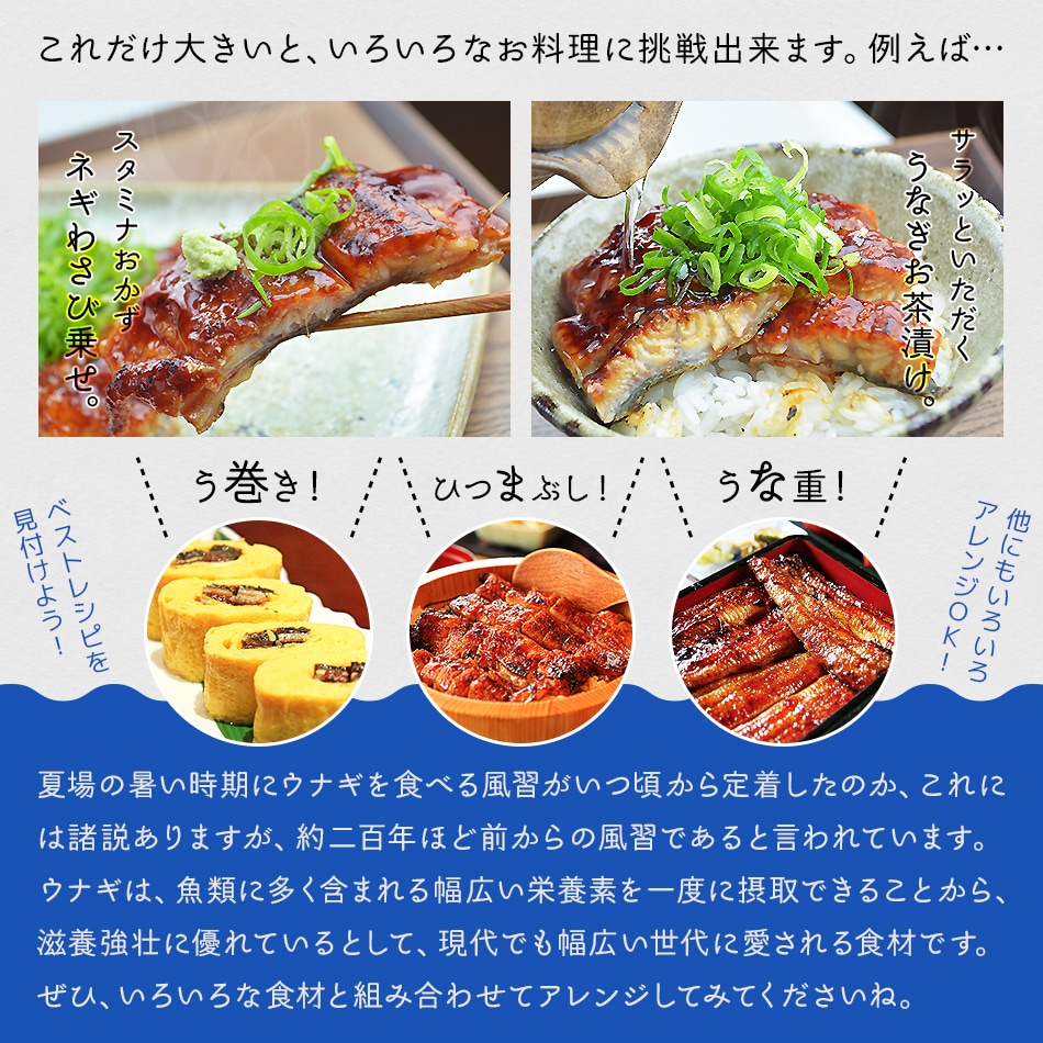 うなぎ,ウナギ,鰻