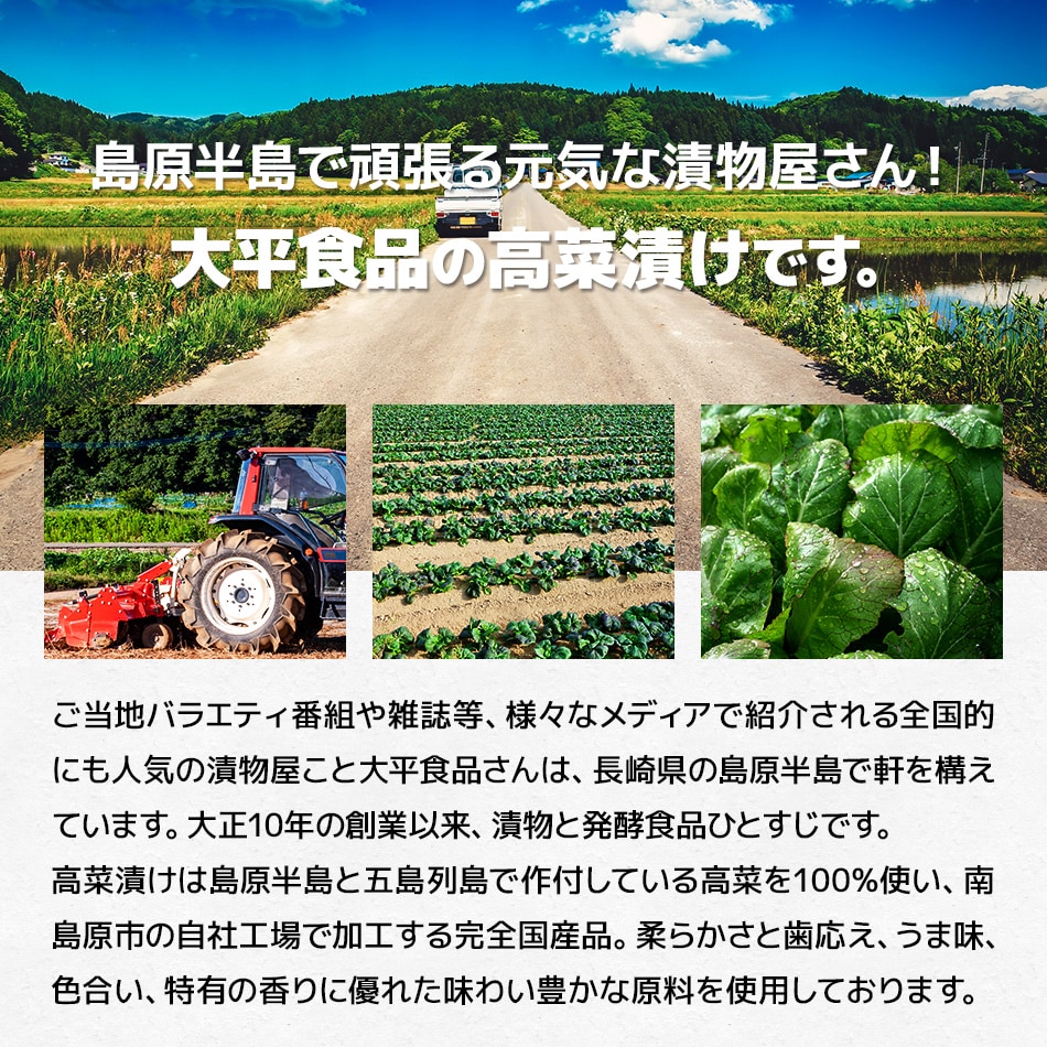 国産,漬物,高菜