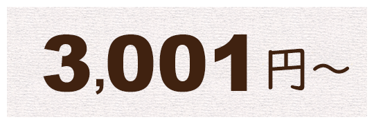 3,001円～