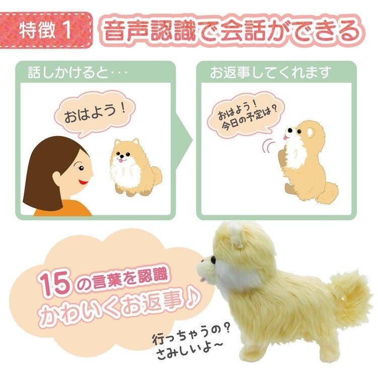 踊るペット犬 ココドル 歌って踊れるポメラニアン