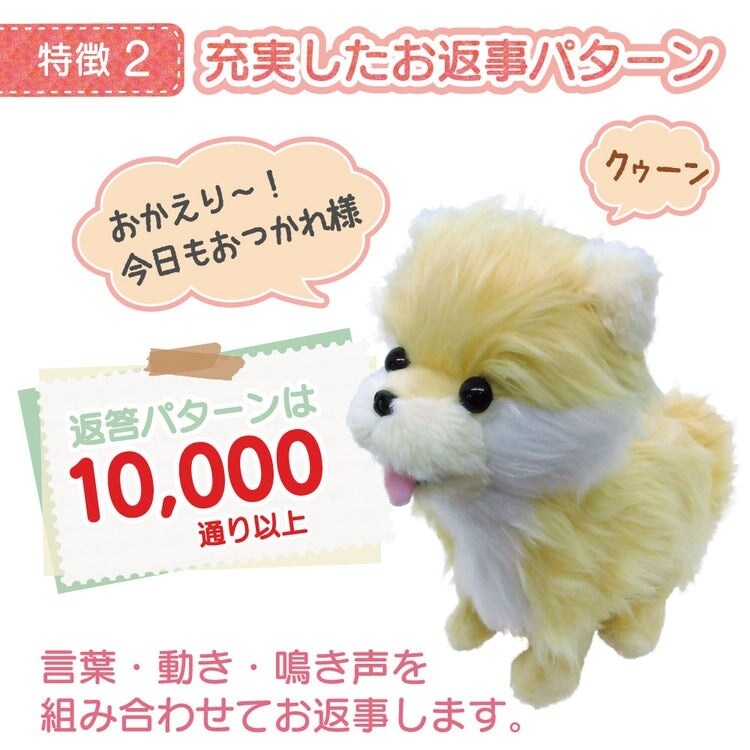 踊るペット犬 ココドル 歌って踊れるポメラニアン