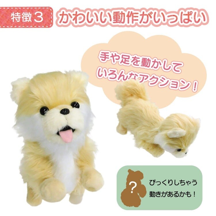 踊るペット犬 ココドル 歌って踊れるポメラニアン