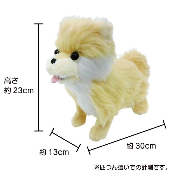 踊るペット犬 ココドル 歌って踊れるポメラニアン