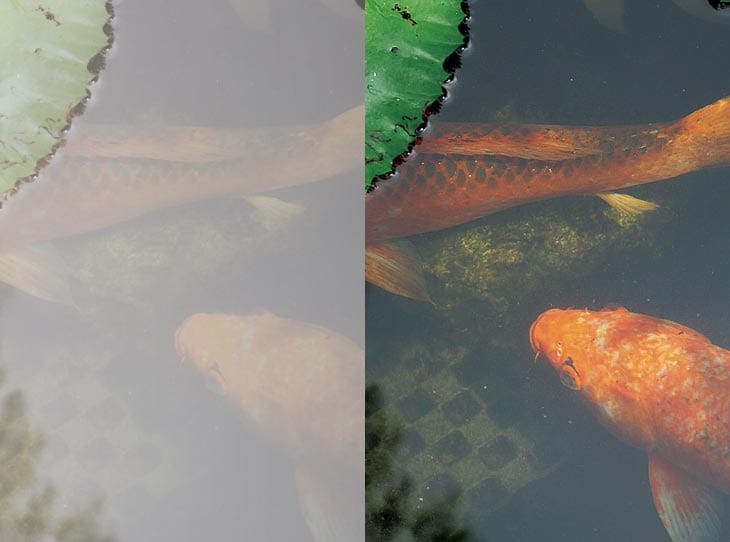 調光・偏光ファッショングラス