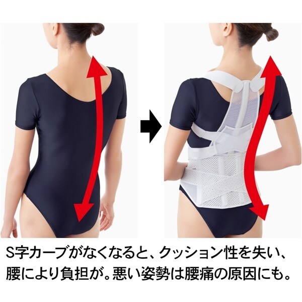 日本製 お医者さんの腰から正す姿勢ベルト