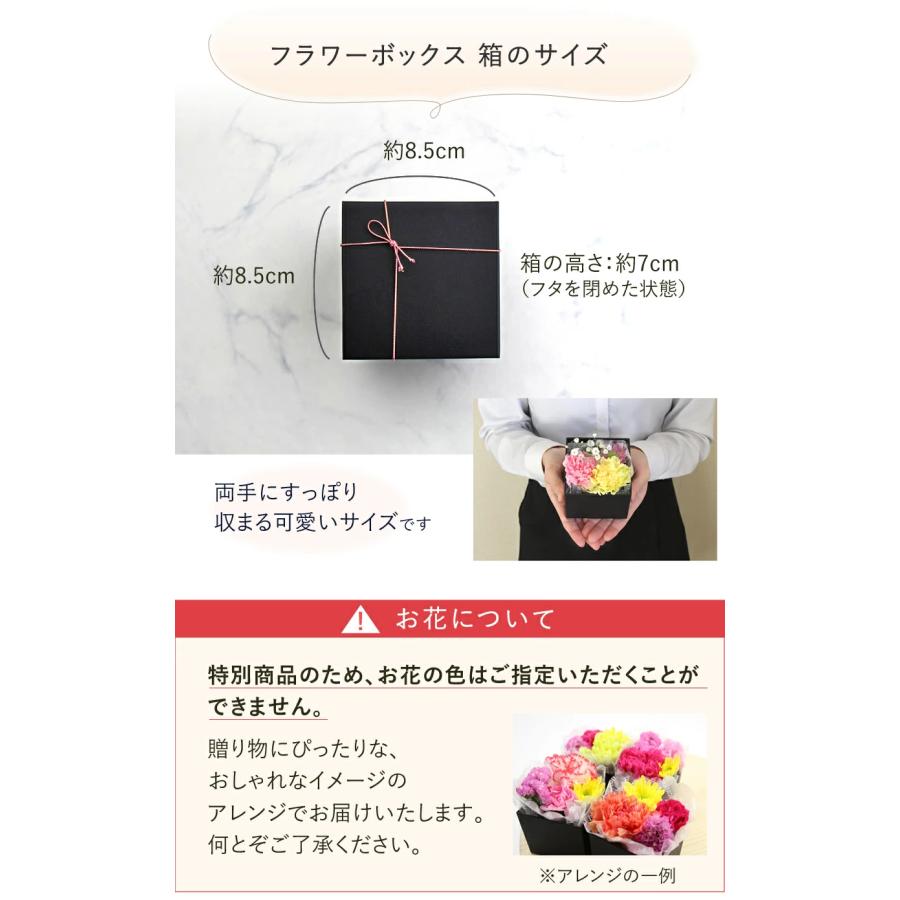 フラワーボックスのサイズ