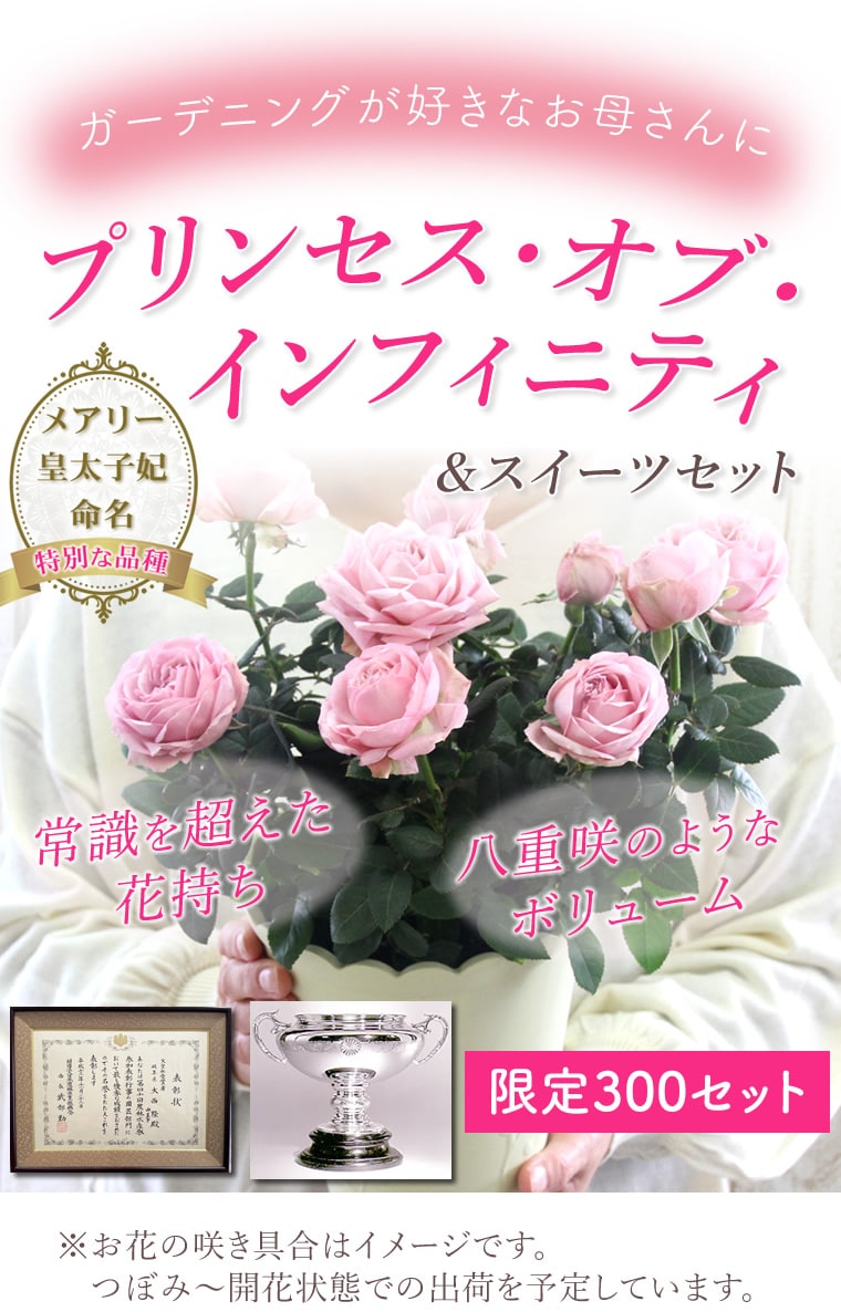 300セット限定！ガーデニングが好きなお母さんへオススメ！プリンセス・オブ・インフィニティ＆スイーツセット