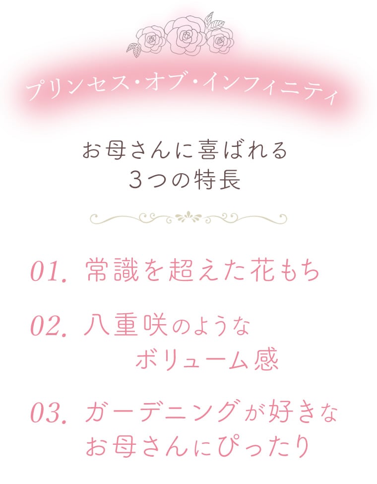 プリンセス・オブ・インフィニティ３つの特長