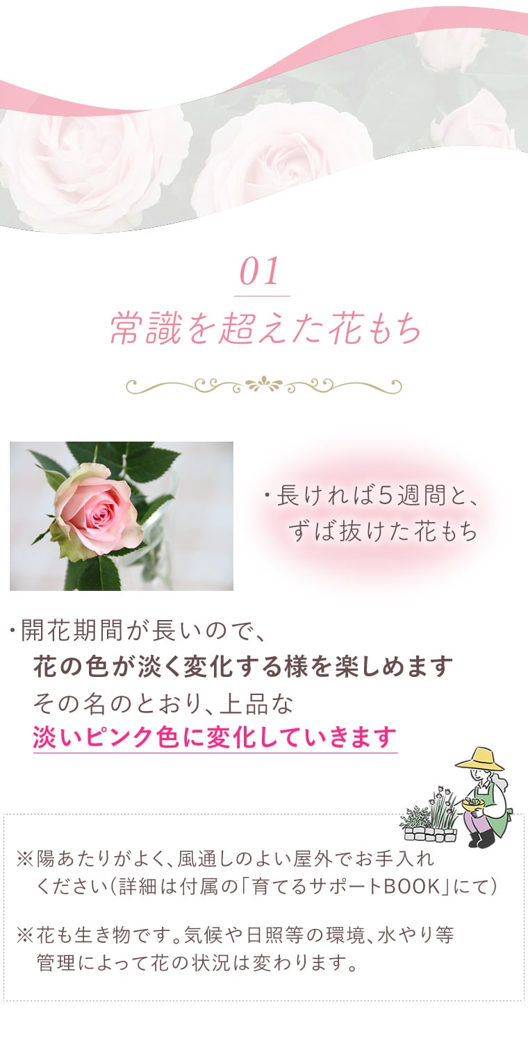 特長01：常識を超えた長もち