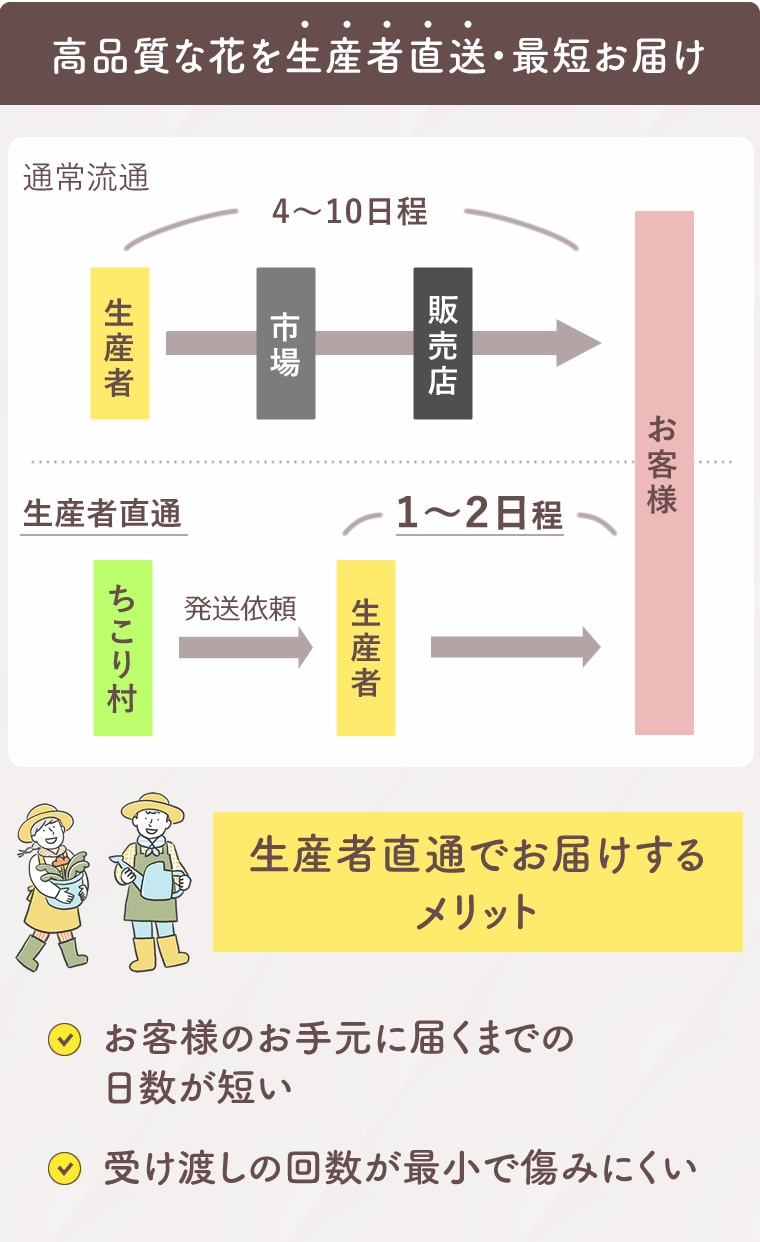 花農家直送だから鮮度が違う