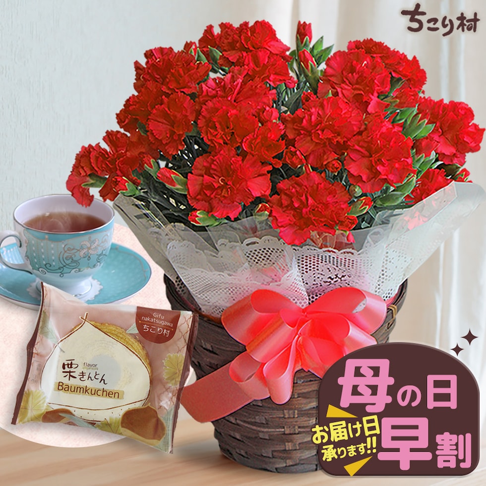 お花と和スイーツセット