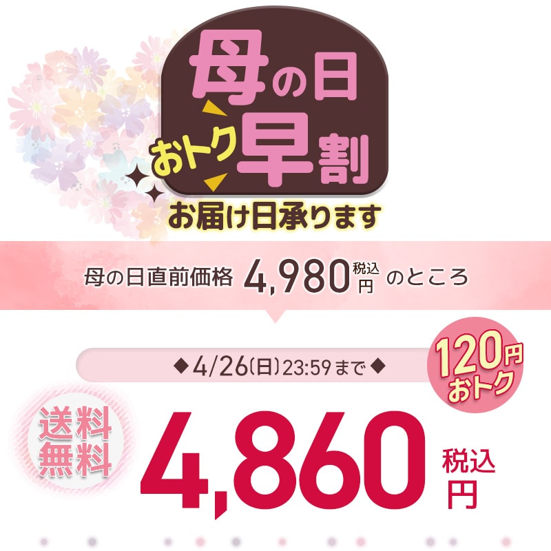 カーネーションと栗きんとん生食パンセット早割4580円