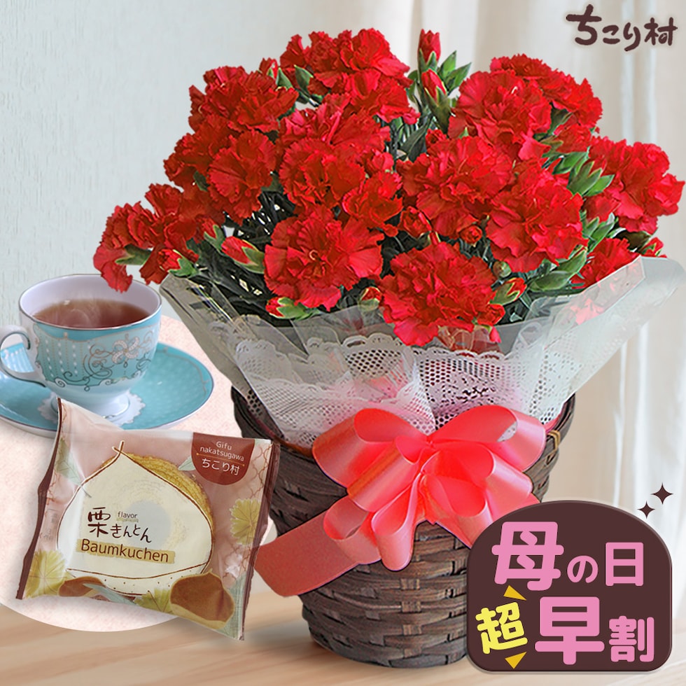 お花と和スイーツセット