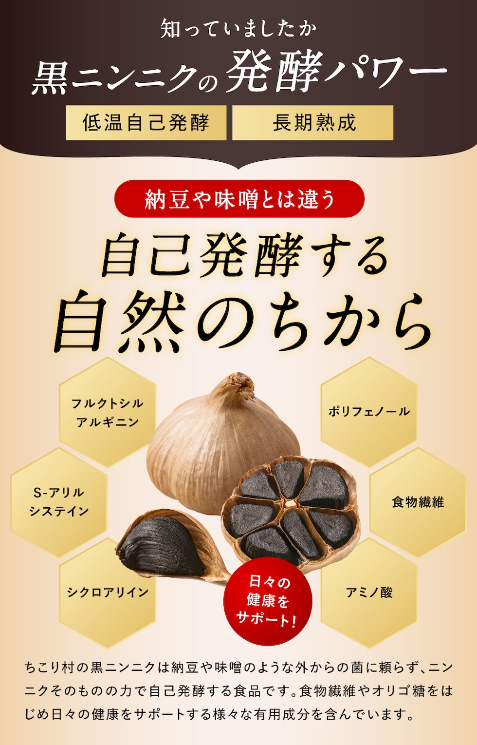 ちこり村 有機黒にんにく