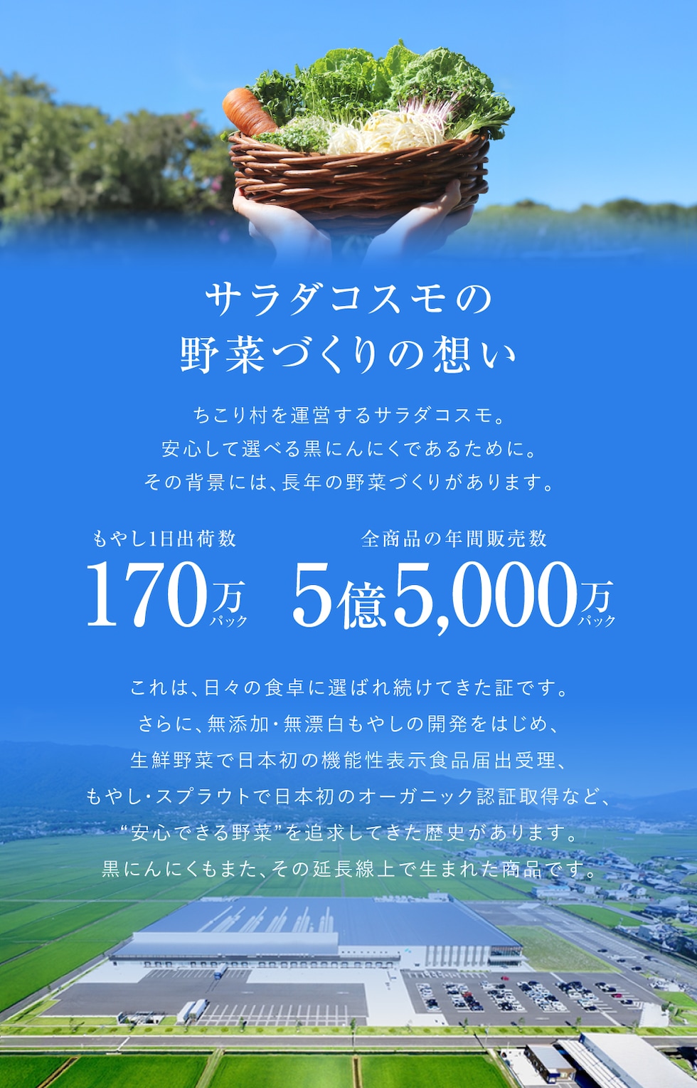 オーガニックであることにこだわりました