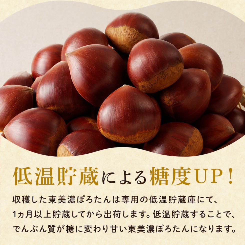 低温貯蔵による糖度UP　収穫した東美濃ぽろたんは専用の低温貯蔵庫にて1ヶ月以上貯蔵してから出荷　でんぷん質が糖に変わり甘いぽろたんに