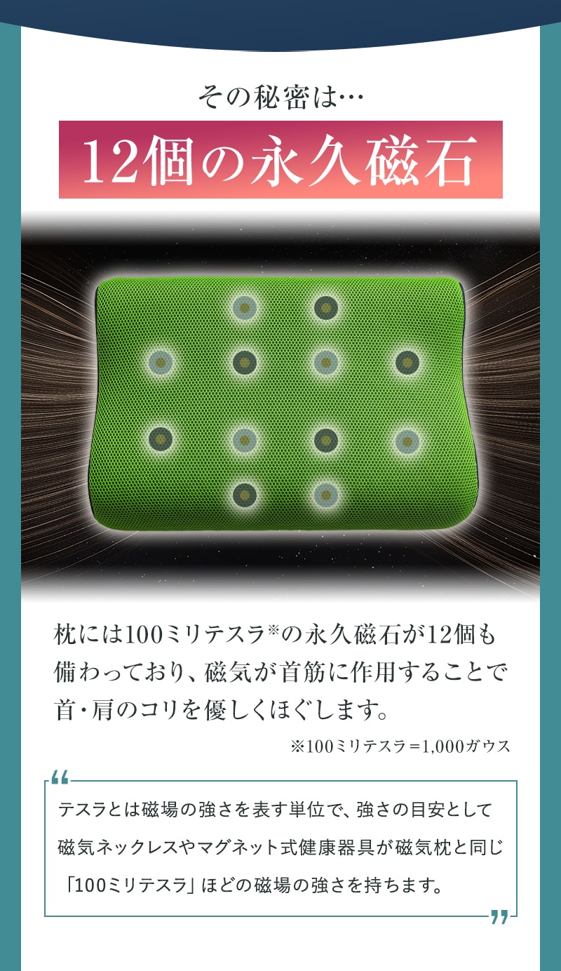 12個の永久磁石が首筋に作用