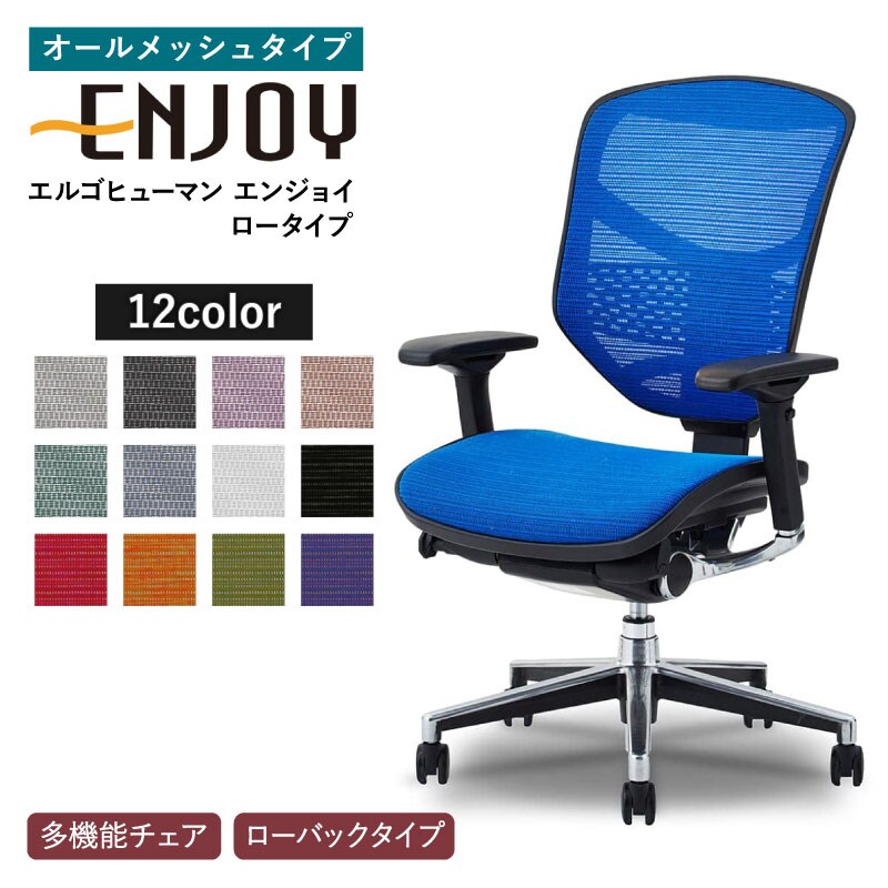 ergohuman ENJOY EJ LAM KM 11 オフィスチェア Amazon.co.jp: 【旧型