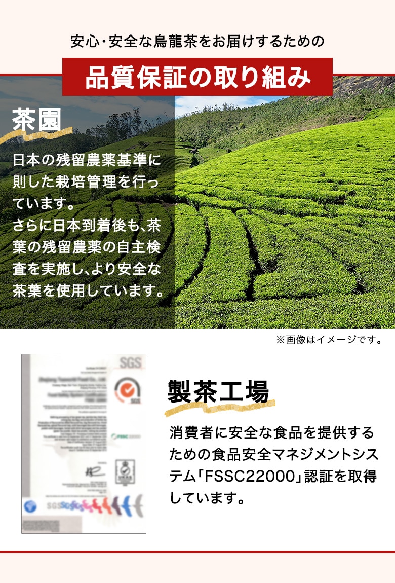 つづけるプラス 黒烏龍茶