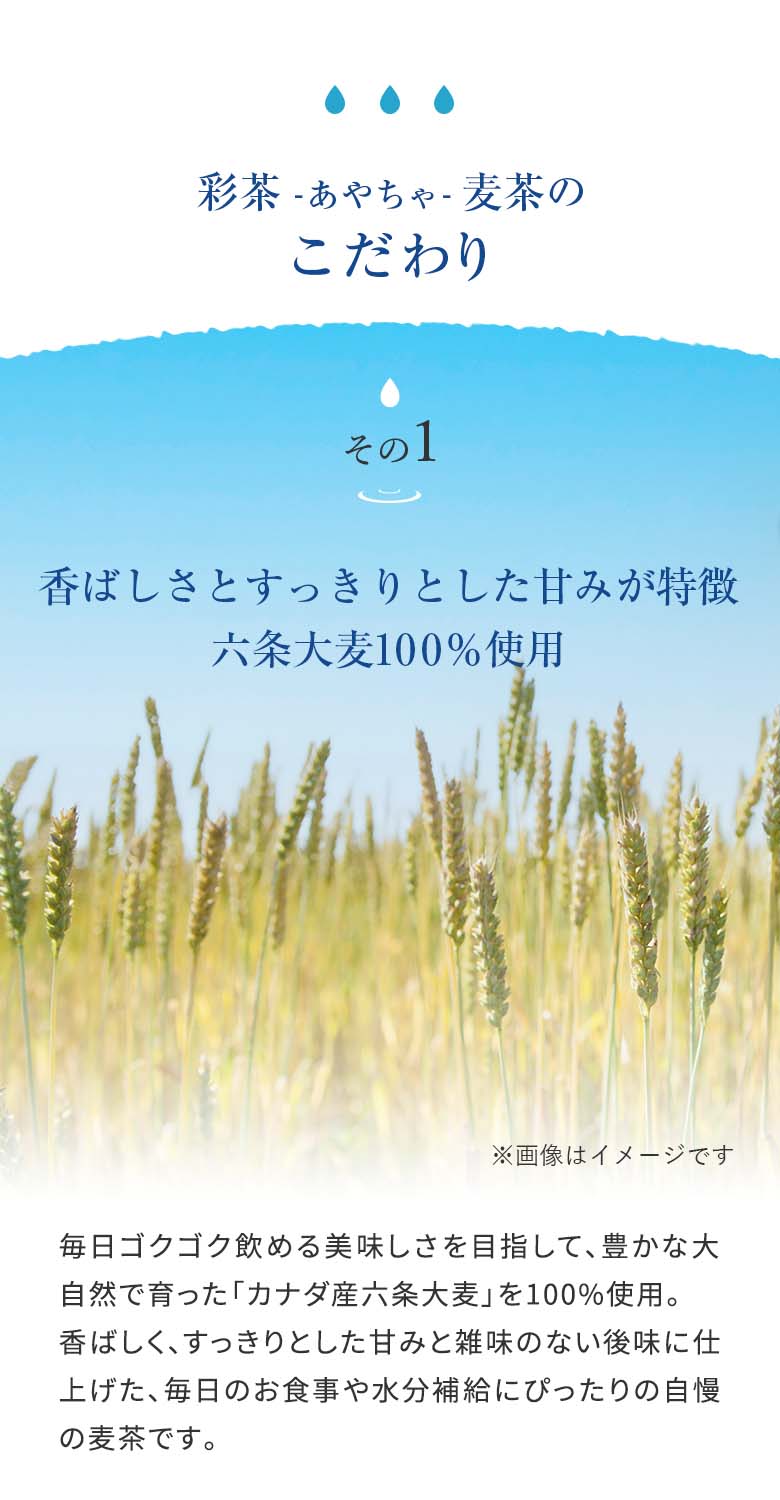 麦茶