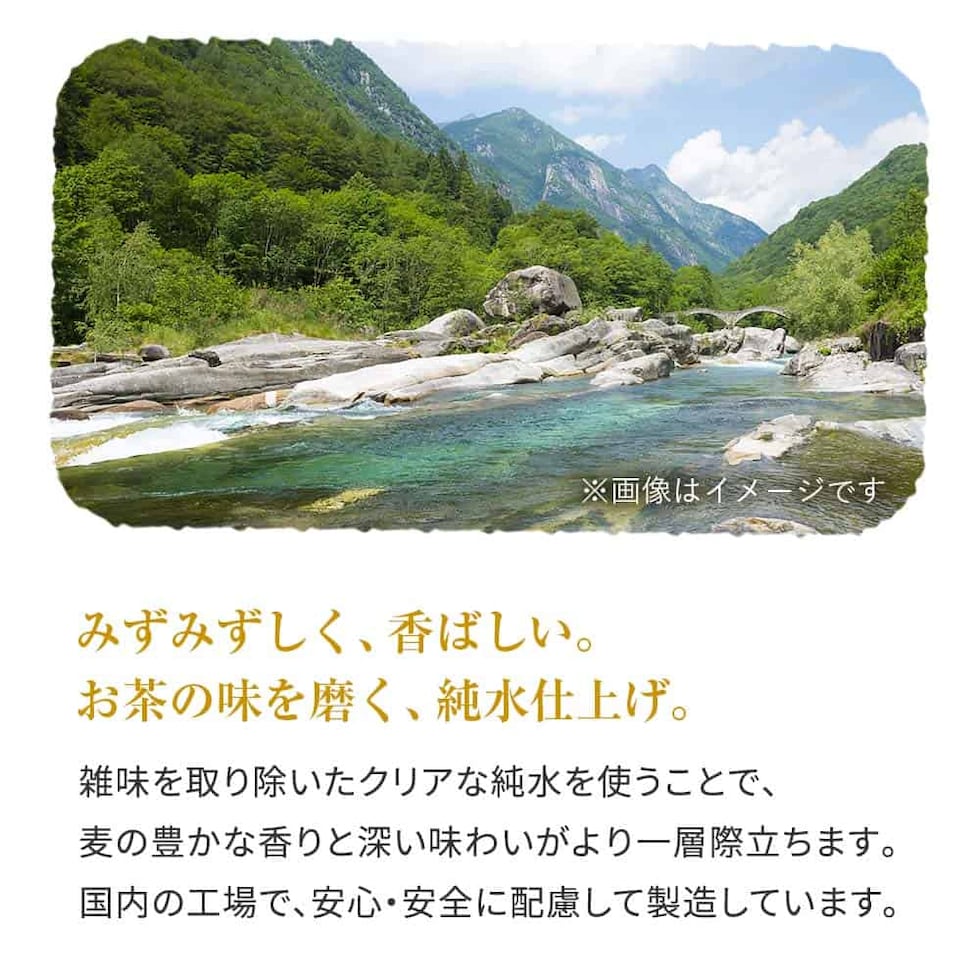 麦茶