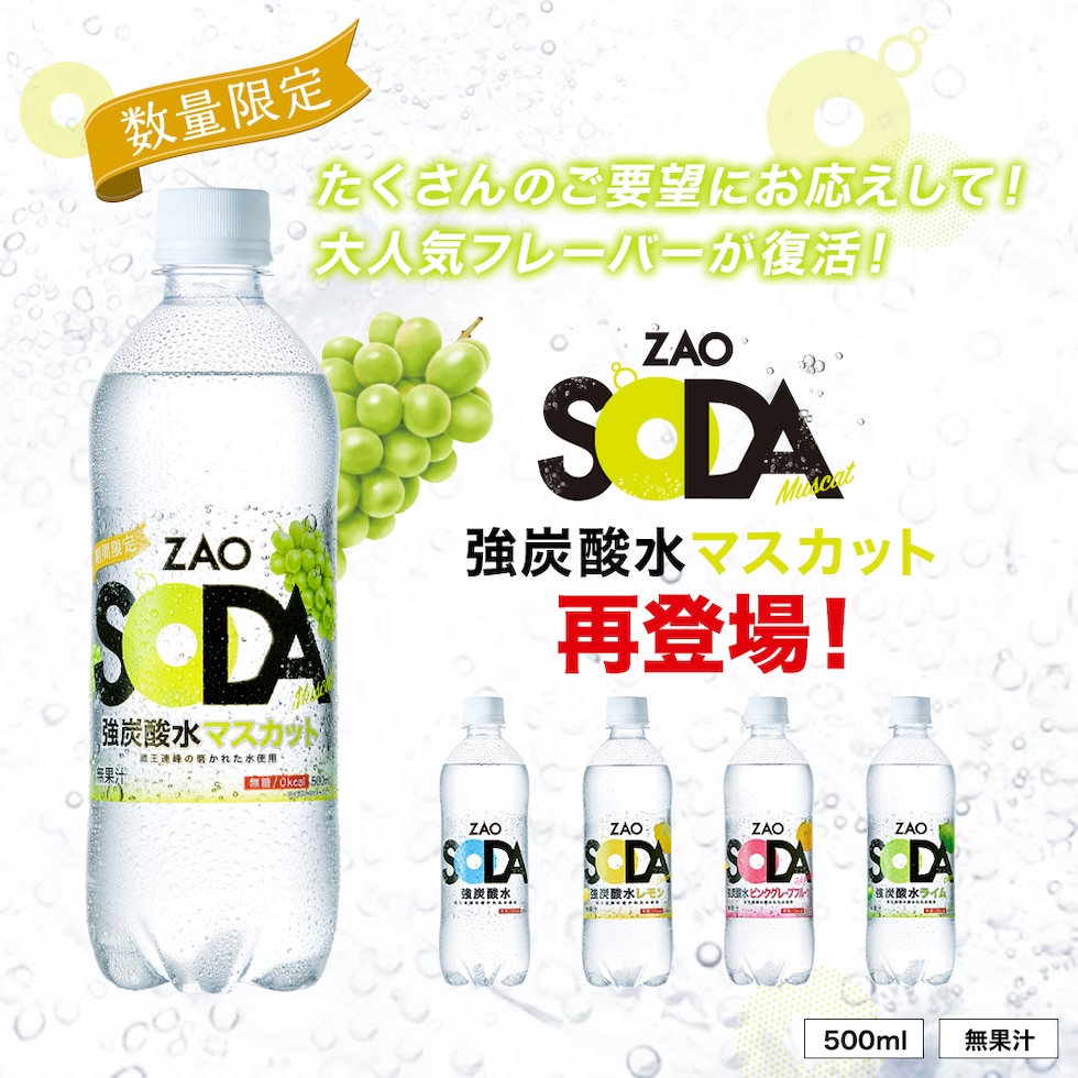 ふるさと納税 山形県 ZAO SODA 強炭酸水 ラベルレス (プレーン) 500ml