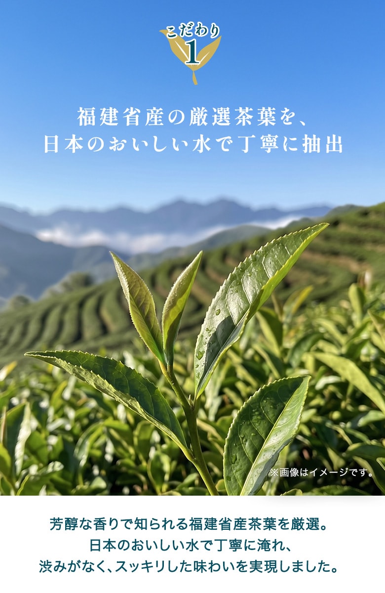 彩茶烏龍茶