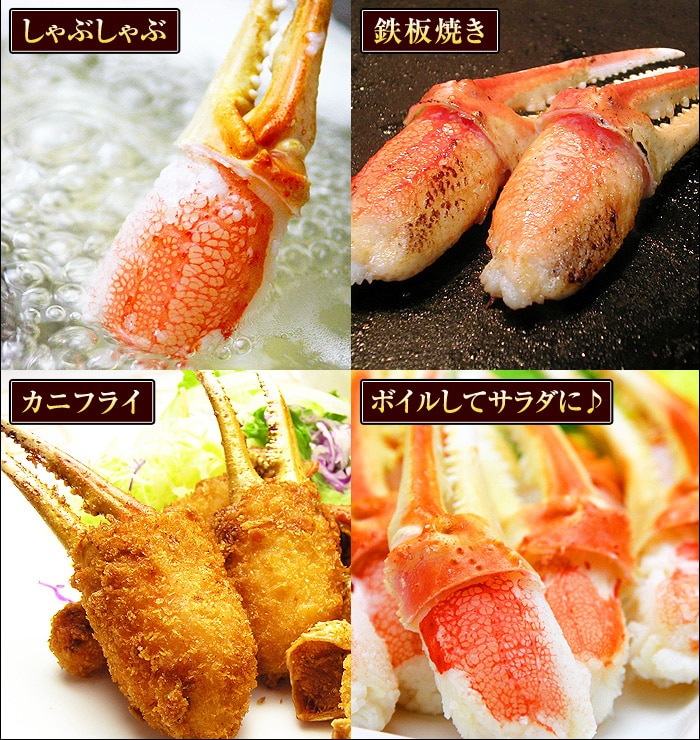 カニのしゃぶしゃぶ、カニステーキ、鉄板焼き、カニフライ、ボイルして海鮮カニサラダにどうぞ