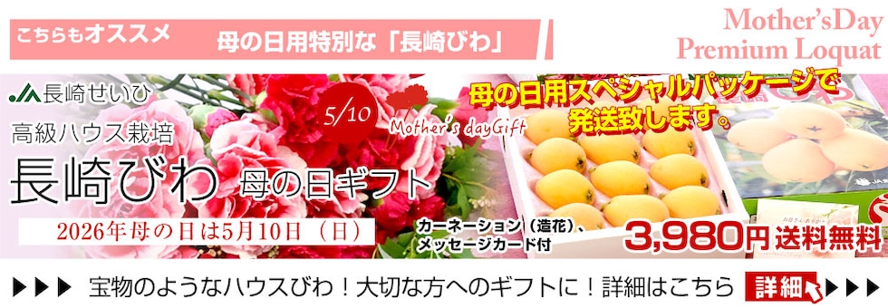 母の日長崎ビワ