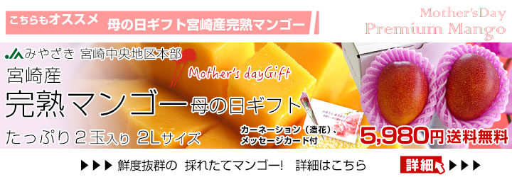 母の日宮崎マンゴー
