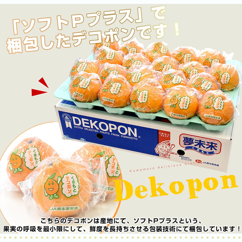 Pプラス(鮮度保持袋)