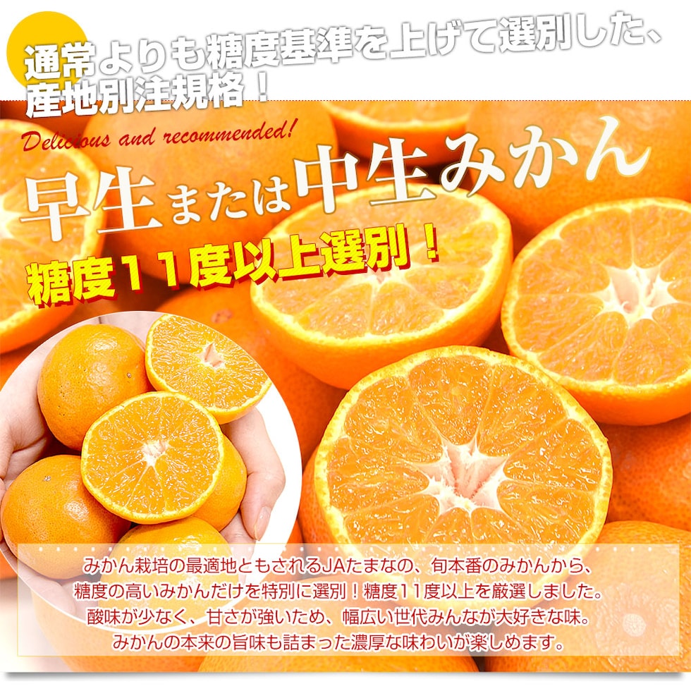 早生のみ