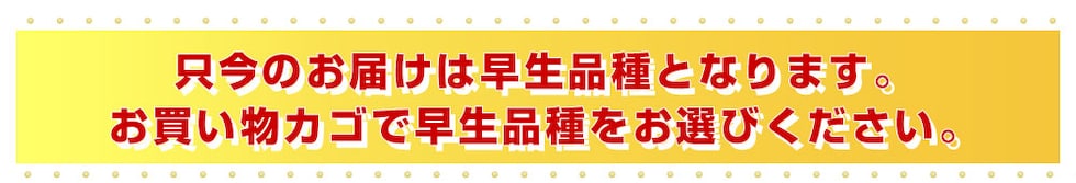 ただいま早生品種のみ
