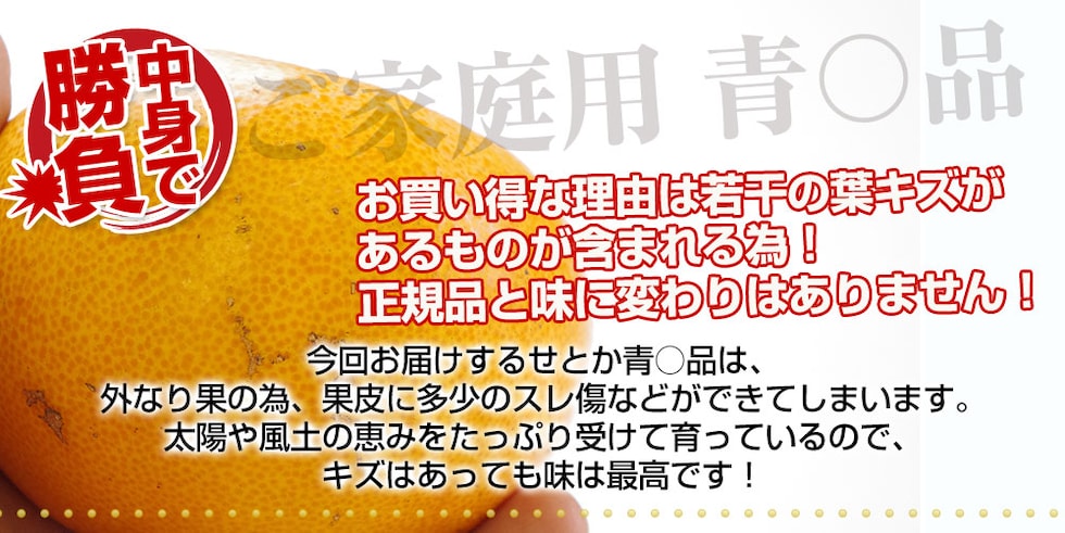 キズ説明ご家庭用