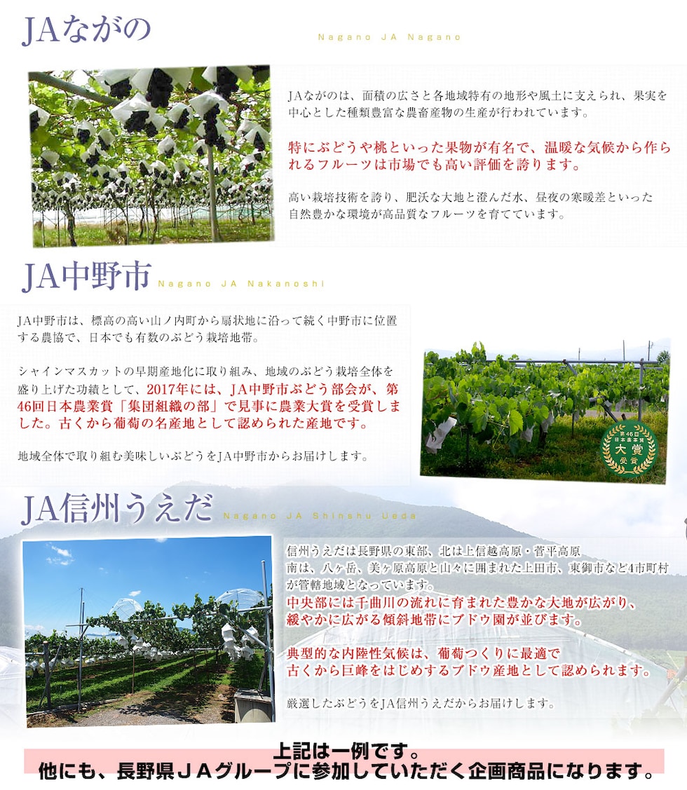 長野産地の説明