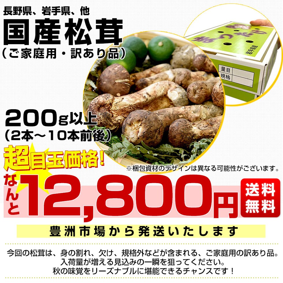 都内で 岩手県沿岸産 松茸 国産 国産本場 本日採れたて 【代理