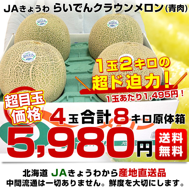 5玉り　果物　北海道赤肉メロン　大箱