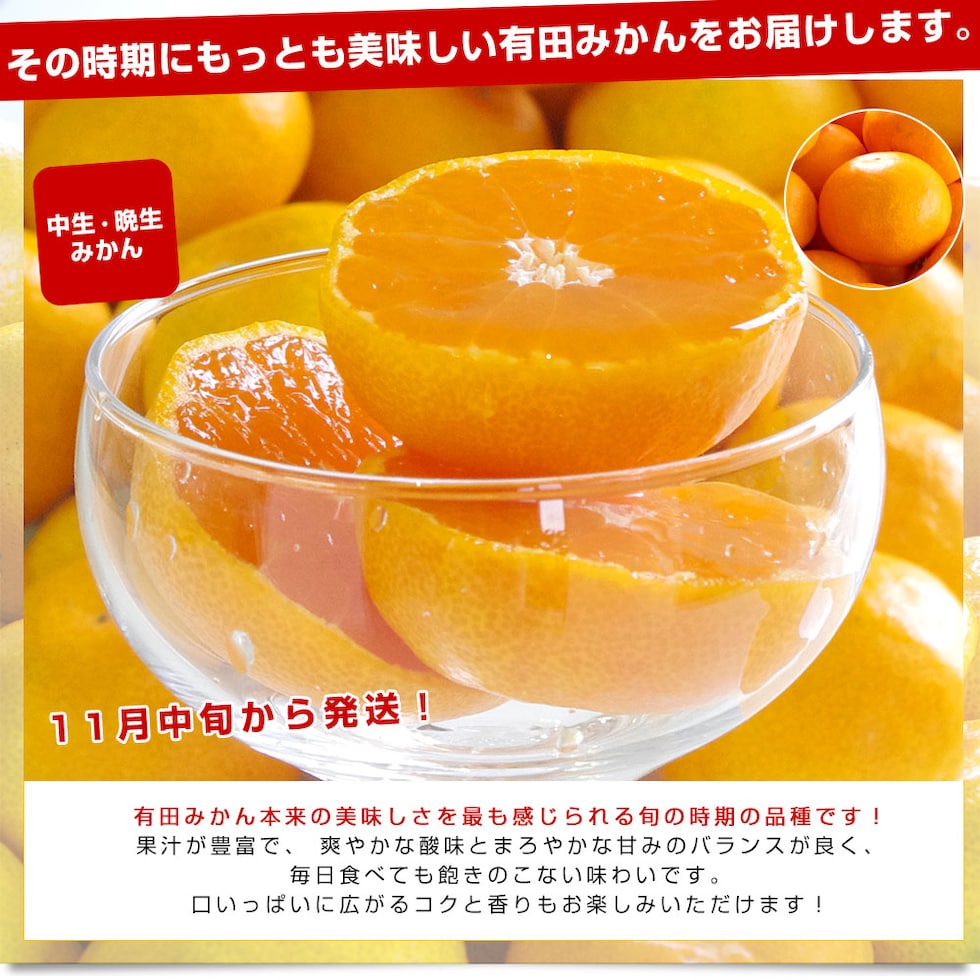 中生・晩生専用の品種説明パーツ