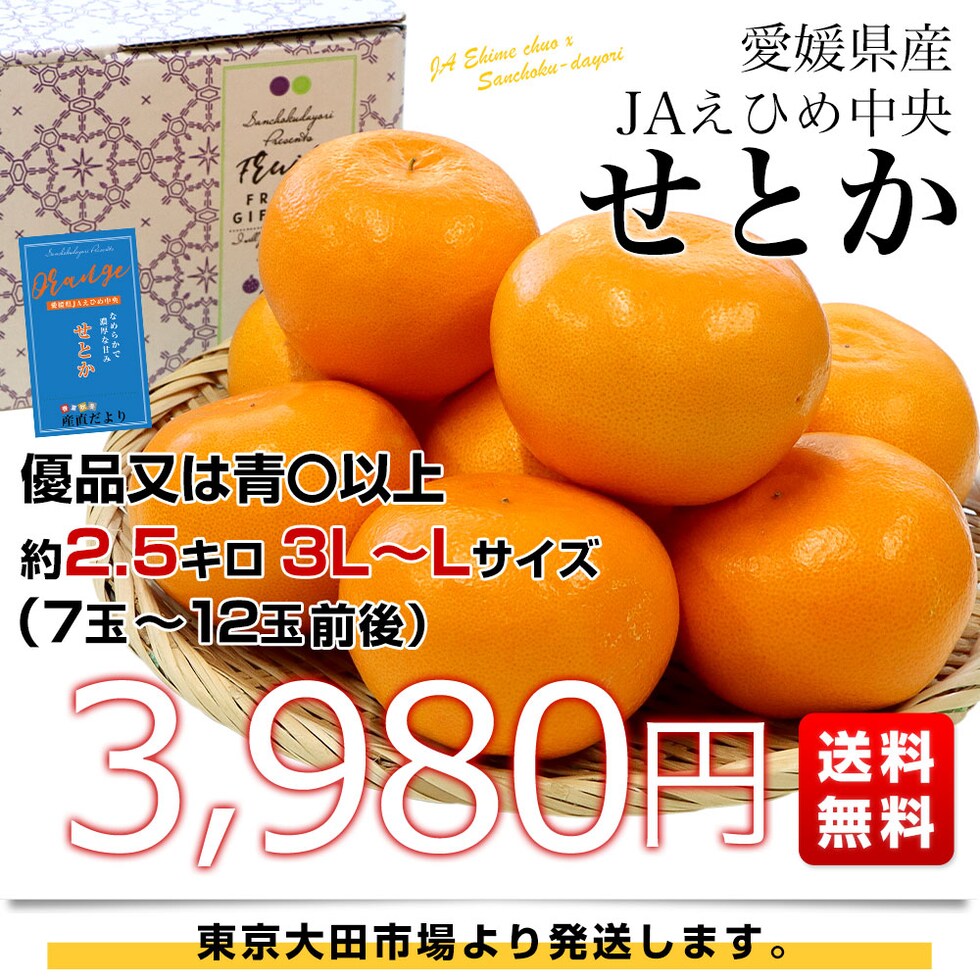 愛媛県産 せとか 約2.5キロ - 果物