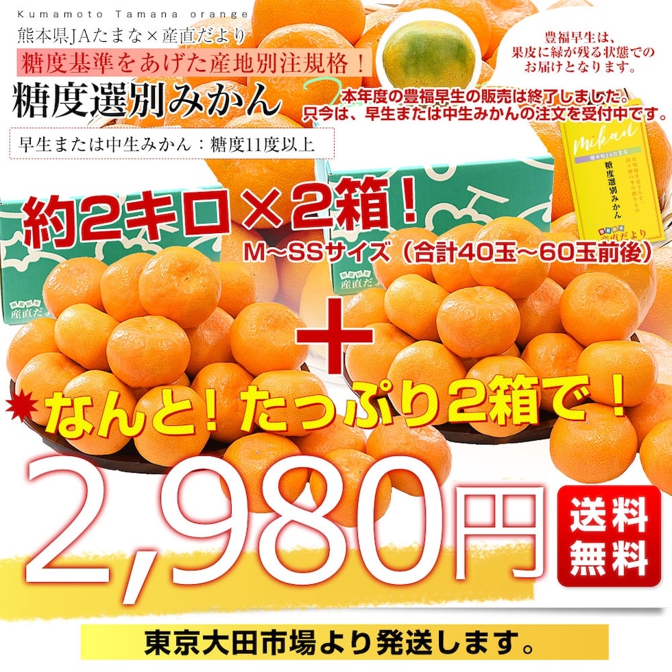 早生または中生みかんver