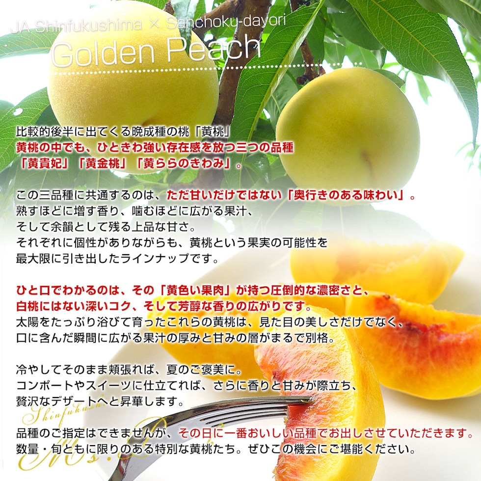 黄桃3品種の説明