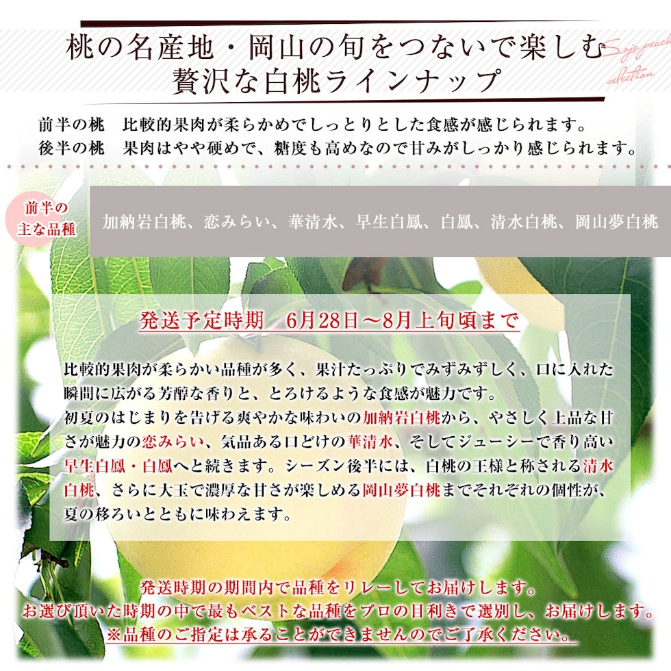 前半の品種