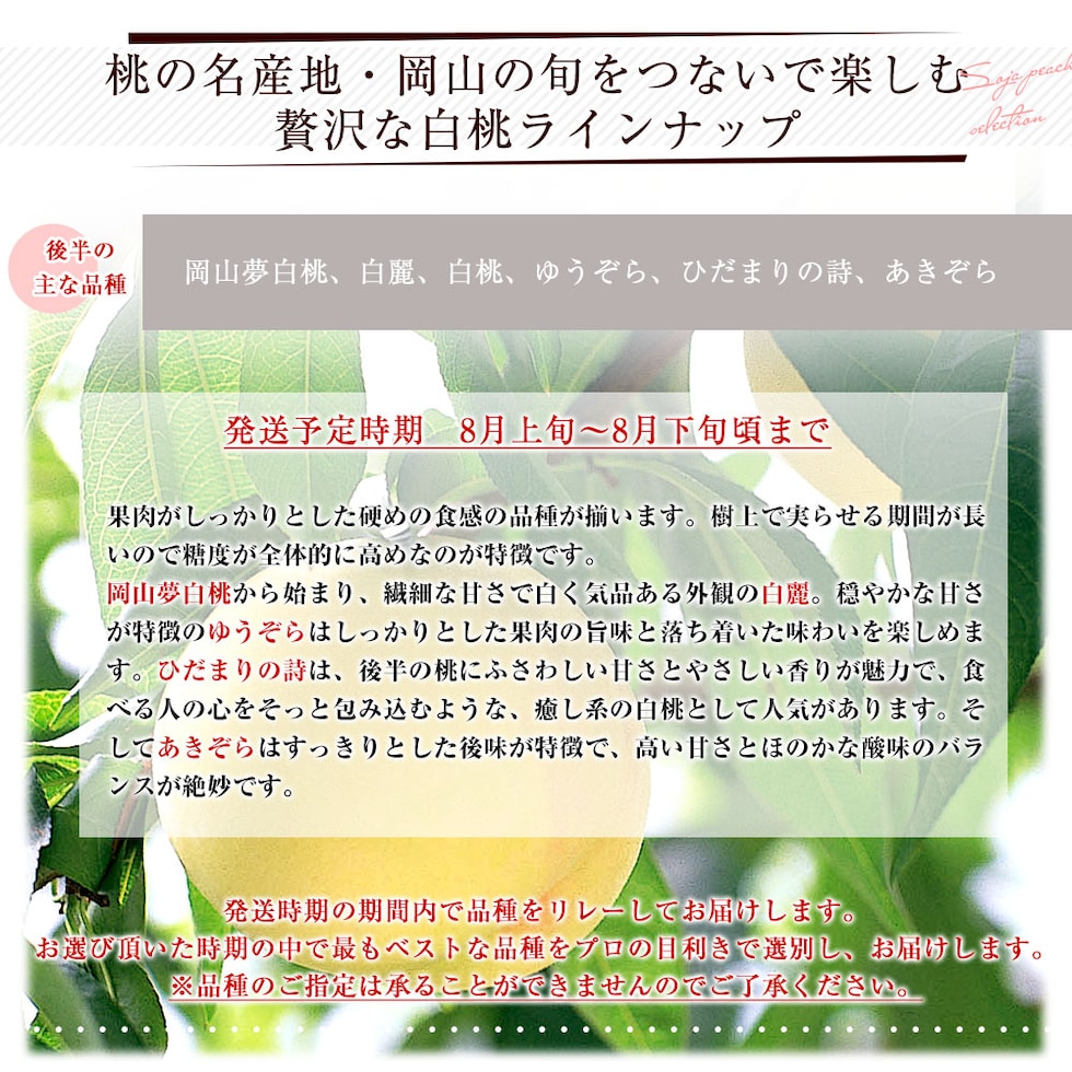 後半の品種